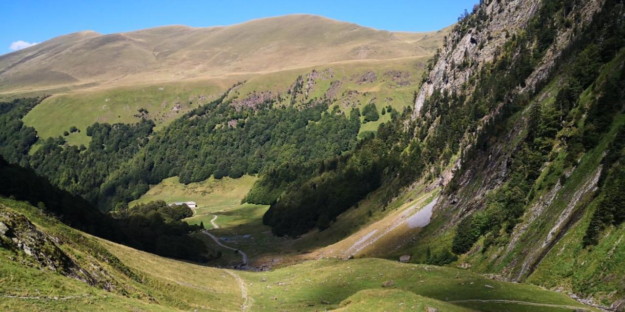 Отель Le 41 Avenue Foch Bagneres-de-Luchon Экстерьер фото